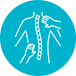 CHIROPRACTIC CARE ICON